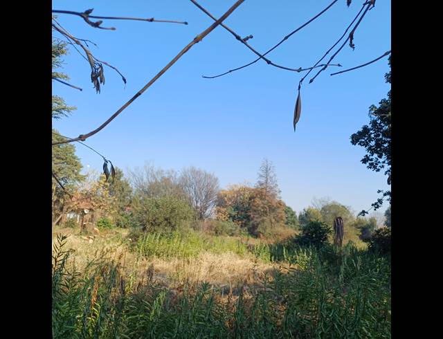 4,006M² VACANT LAND FOR SALE IN HIGHBURY